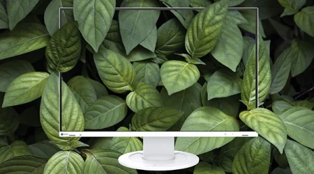 Sustainable_Monitor_Leaves Sustainable_Monitor_Leaves