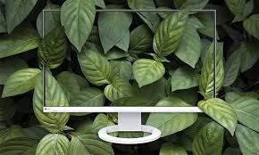 Sustainable_Monitor_Leaves